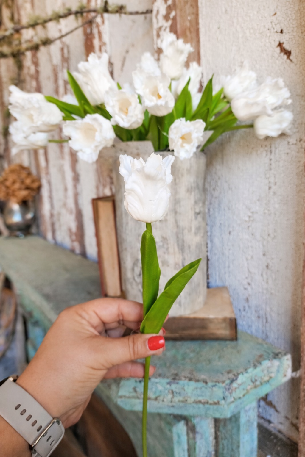 (White) Single Stem Parrot Tulip