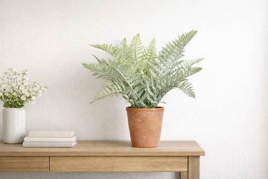 Potted Fern In Terra Cotta Pot