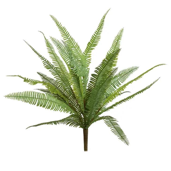 Natural Touch River Fern