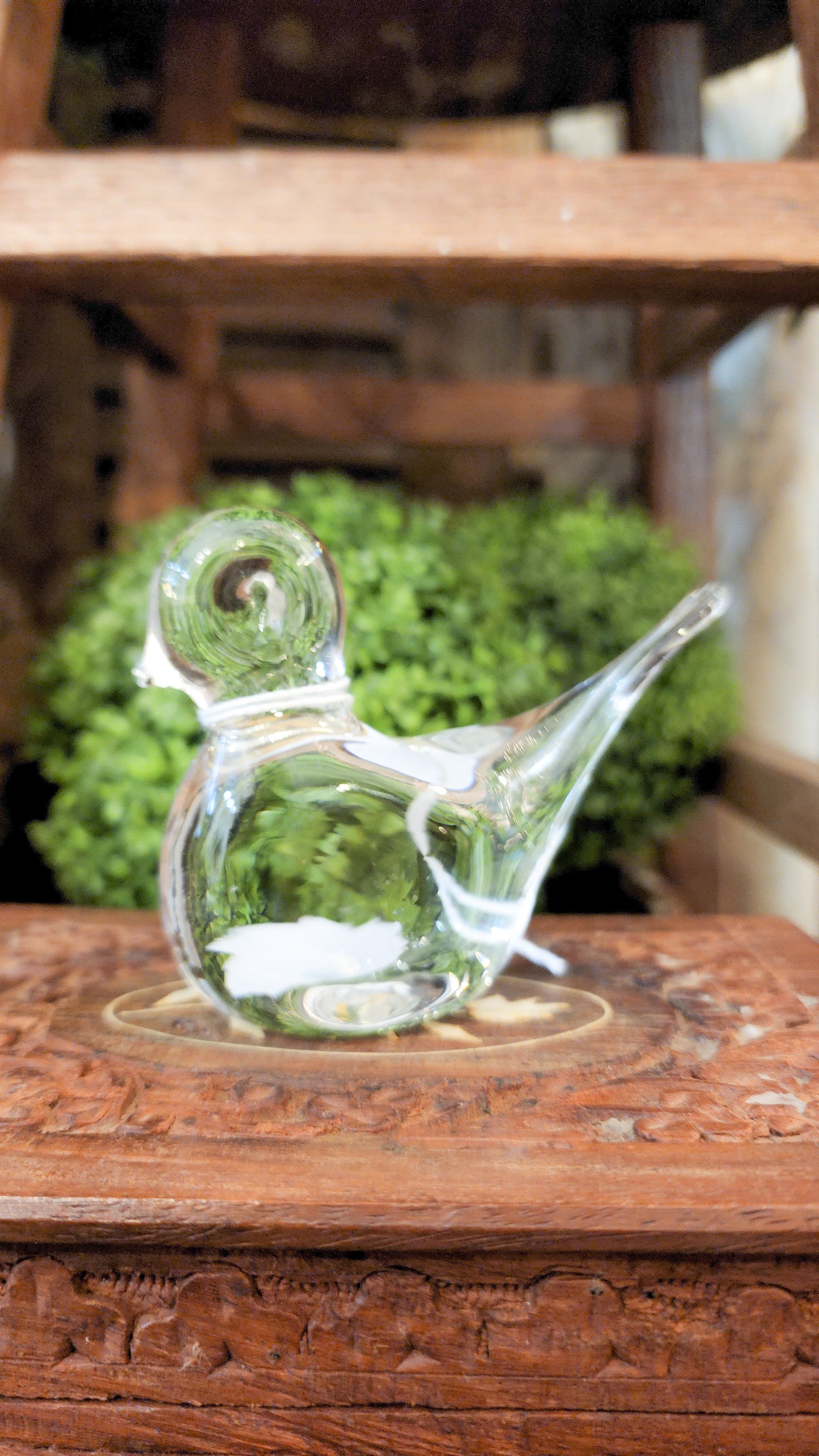 Murano clear glass bird