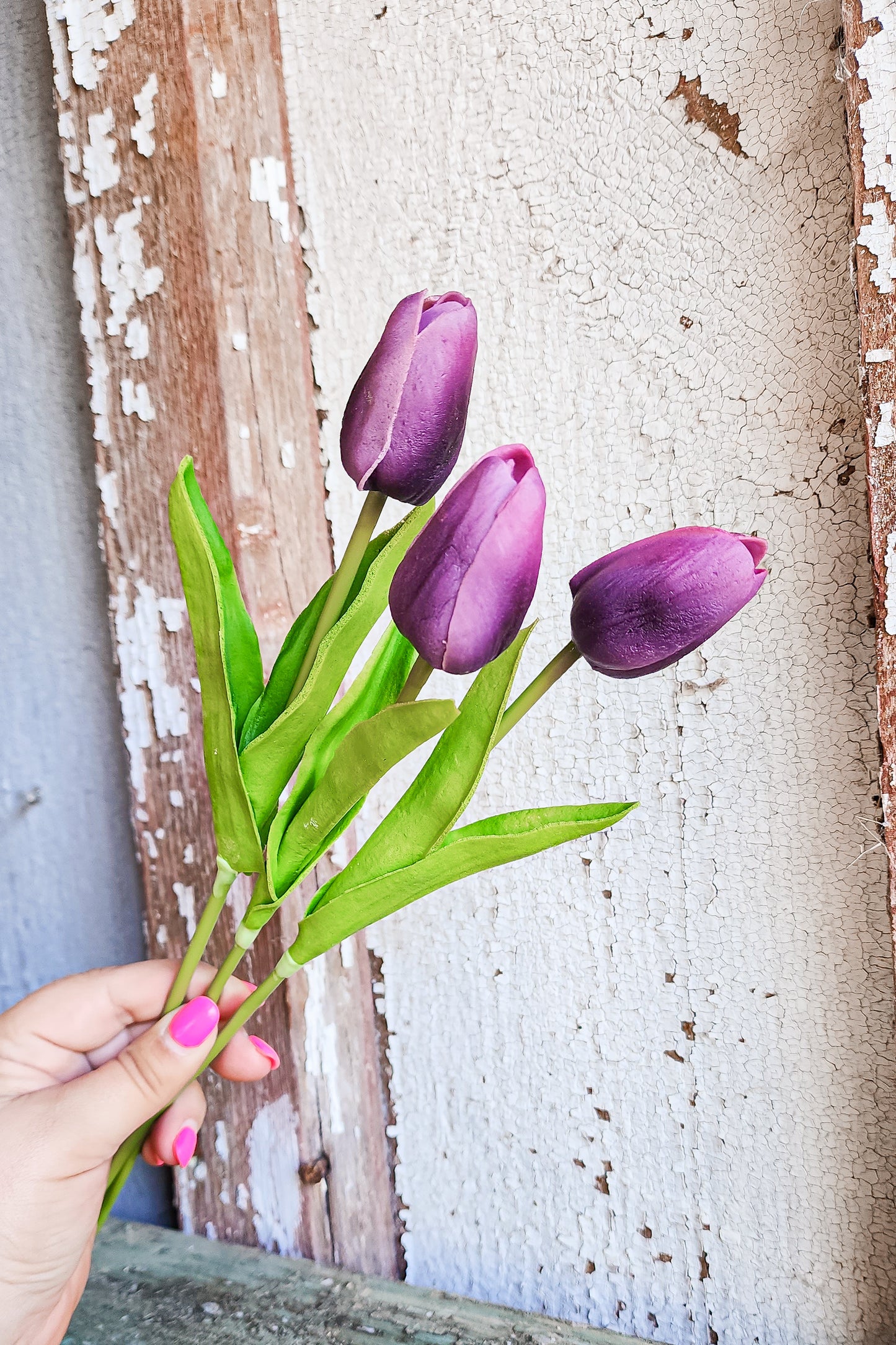 Single Stem Purple Tulip