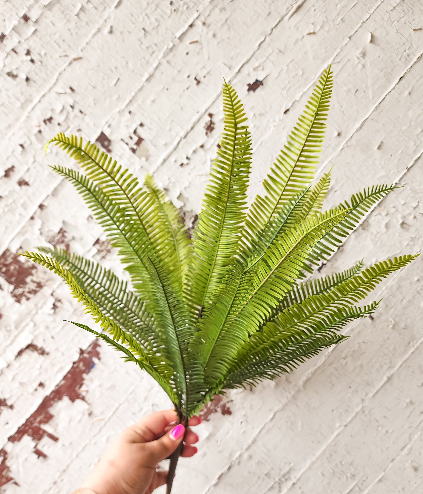 Natural Touch River Fern