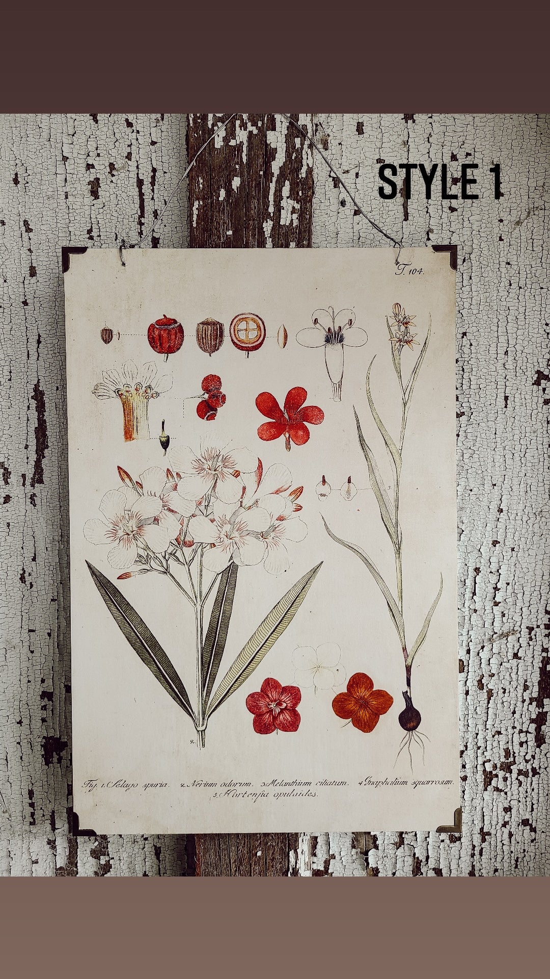 Floral Wall Botanical Print With Metal Wire