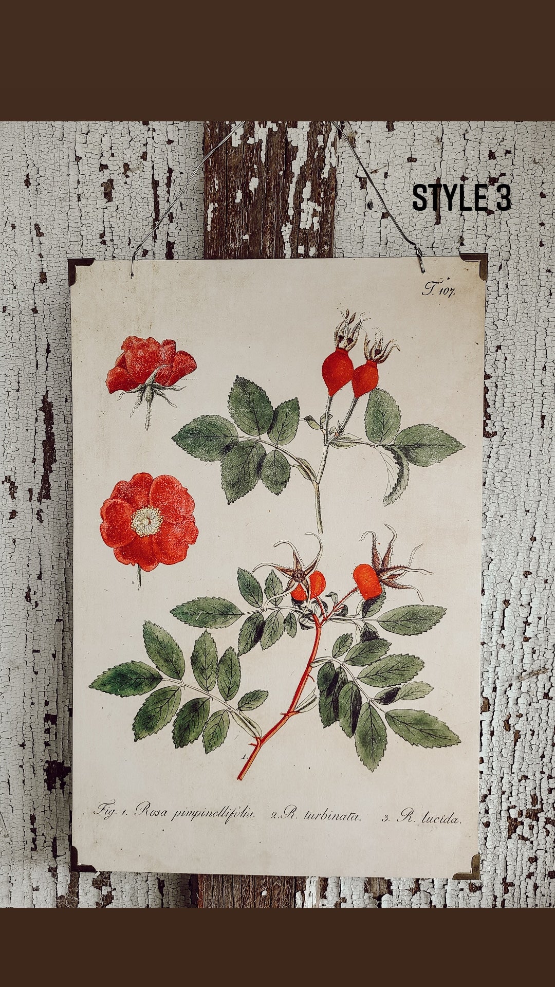Floral Wall Botanical Print With Metal Wire