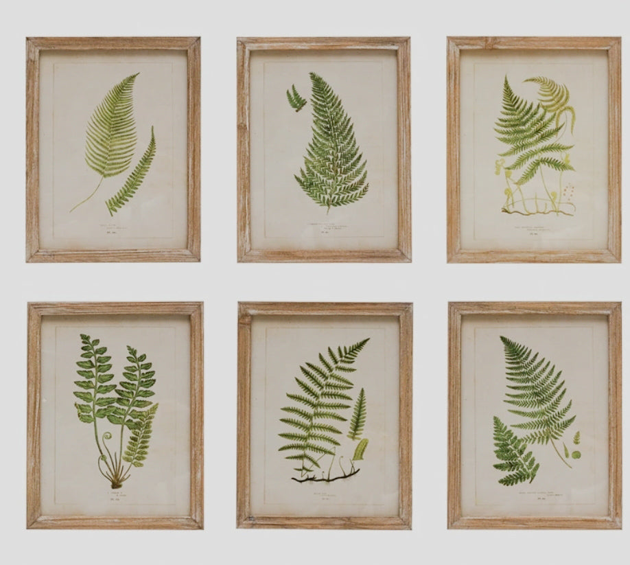 Wood Framed Glass Wall Décor with Fern Fronds Image (6 Styles)